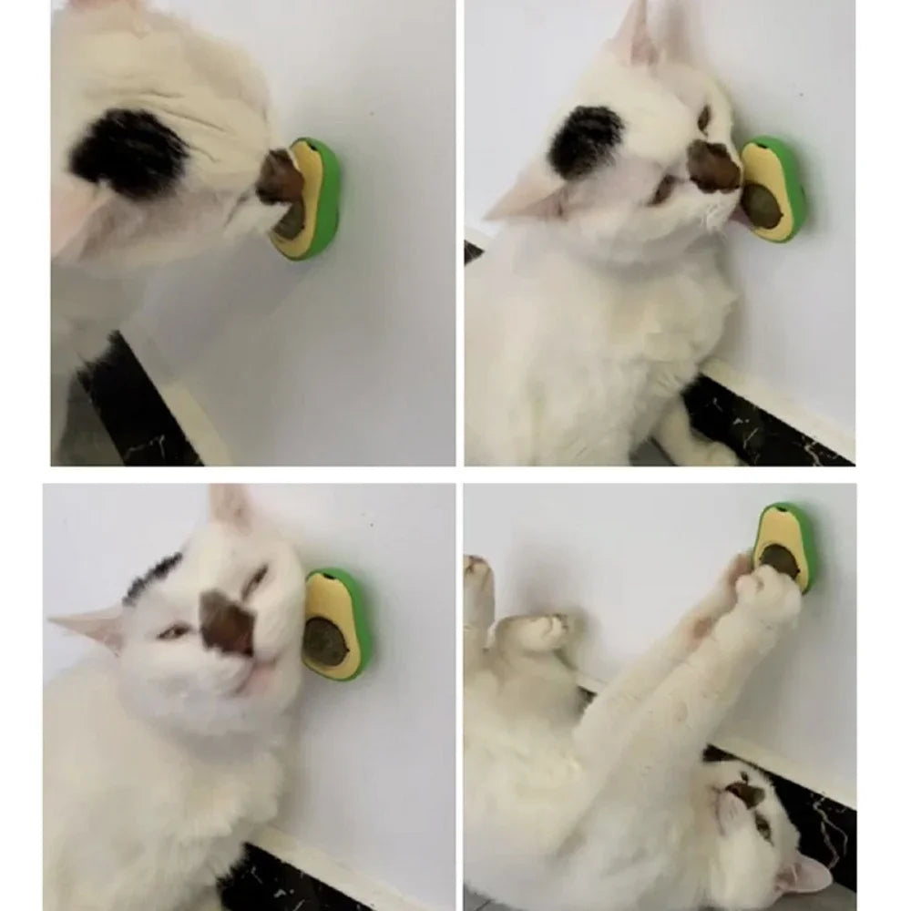 Natural Catnip Wall Toy