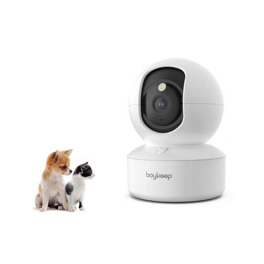 Wi-Fi Pet Camera