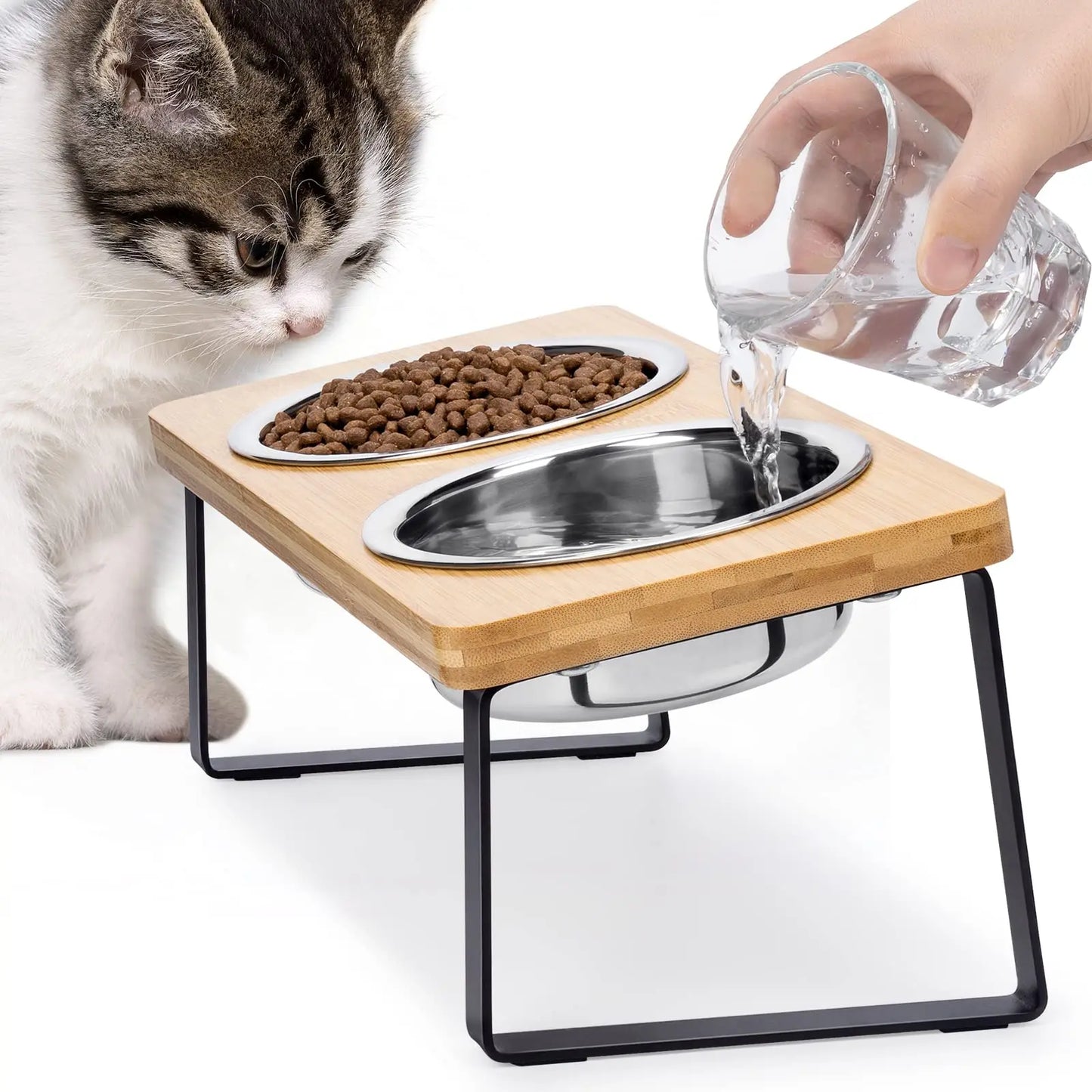 Elevated Double Cat Bowls (15° Tilt)