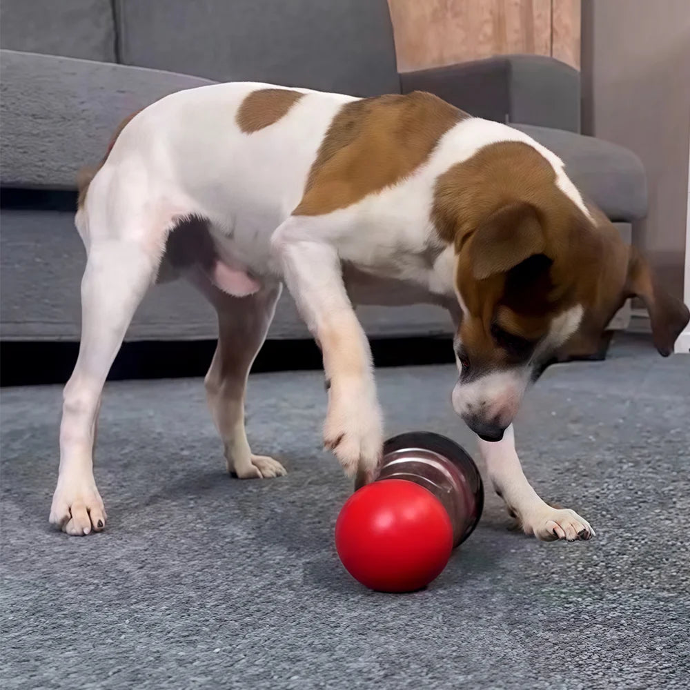 Dog Treat Feeder Ball