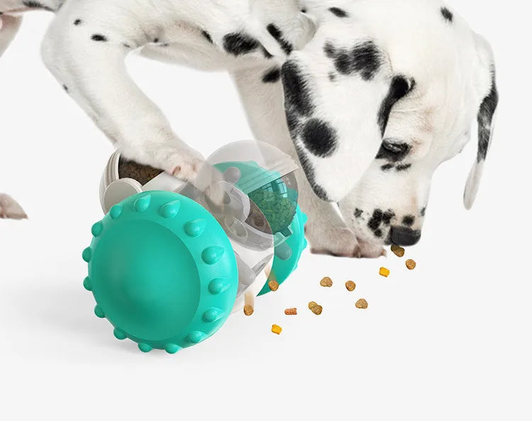 Interactive Feeder Ball